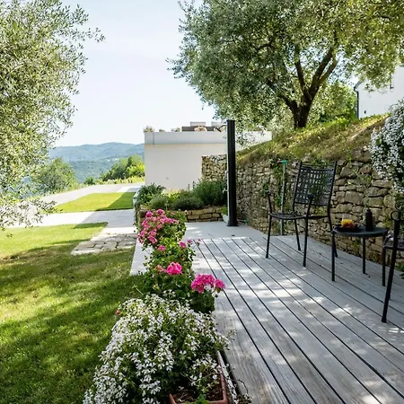 Casa Mille Olivi Buzet