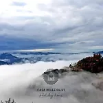 Casa Mille Olivi - Peaceful View House, Private 50m2 Pool, Near Motovun Vila