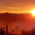 Vila Casa Mille Olivi - Peaceful View House, Private 50m2 Pool, Near Motovun Buzet