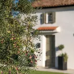 Vila Casa Mille Olivi - Peaceful View House, Private 50m2 Pool, Near Motovun Buzet