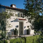 Vila Casa Mille Olivi - Peaceful View House, Private 50m2 Pool, Near Motovun *