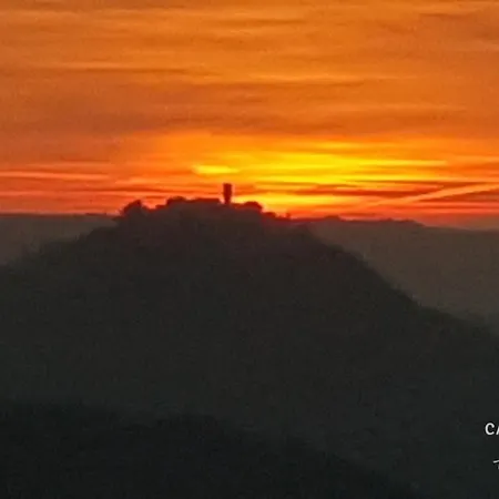 别墅 Casa Mille Olivi - Peaceful View House, Private 50m2 Pool, Near Motovun *