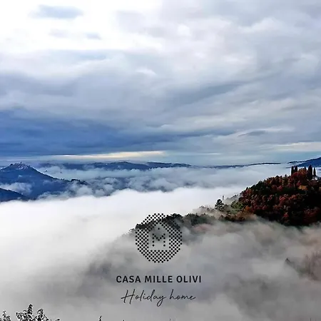 Casa Mille Olivi - Peaceful View House, Private 50m2 Pool, Near Motovun 别墅