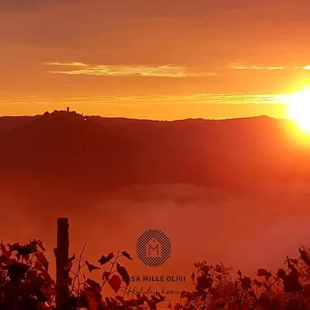 别墅 Casa Mille Olivi - Peaceful View House, Private 50m2 Pool, Near Motovun 布泽特