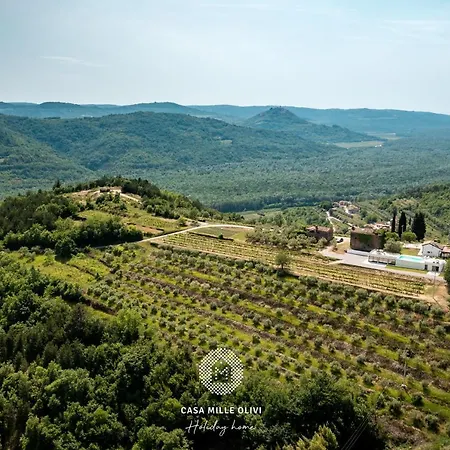 Casa Mille Olivi Villa *