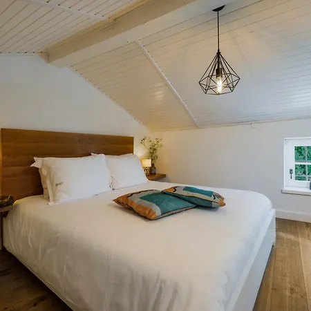 别墅 Casa Mille Olivi - Peaceful View House, Private 50m2 Pool, Near Motovun