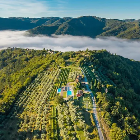 فيلة With Private Pool & View Near Motovun, Casa Mille Olivi Heritage بوزت