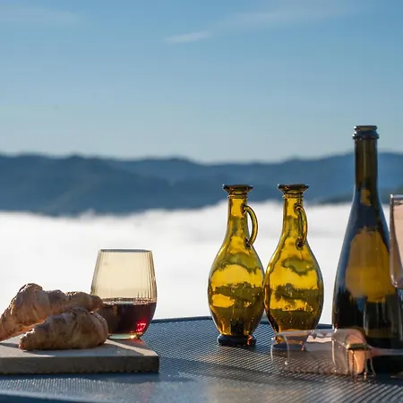 Casa Mille Olivi - Peaceful View House, Private 50m2 Pool, Near Motovun 别墅