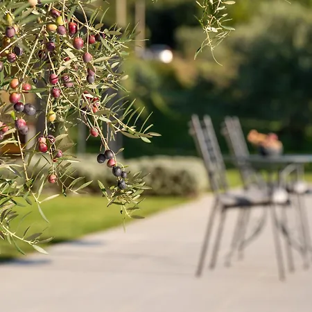 Casa Mille Olivi - Peaceful View House, Private 50m2 Pool, Near Motovun * 布泽特