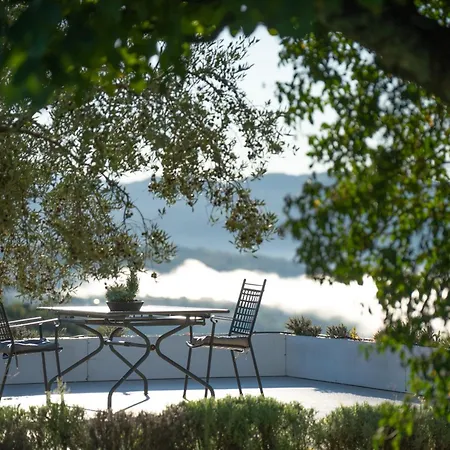 Casa Mille Olivi - Peaceful View House, Private 50m2 Pool, Near Motovun * 布泽特