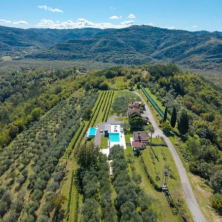 Casa Mille Olivi - Peaceful View House, Private 50m2 Pool, Near Motovun