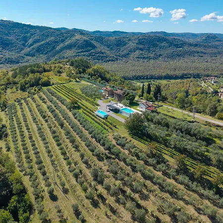Casa Mille Olivi - Peaceful View House, Private 50m2 Pool, Near Motovun Vila